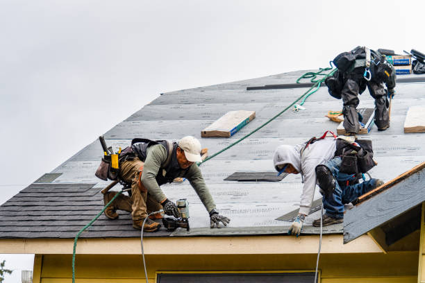 Professional Storm Damage Roof Repair technician working in Long Branch, NJ